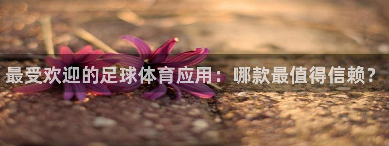 最受欢迎的足球体育应用：哪款最值得信赖？