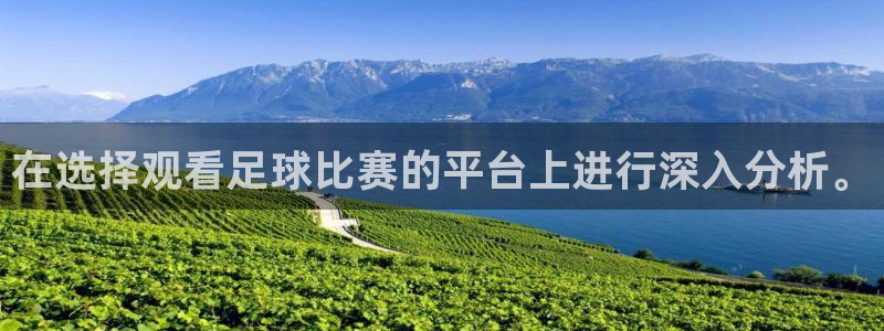 在选择观看足球比赛的平台上进行深入分析。