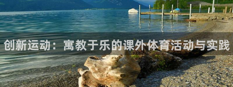 创新运动：寓教于乐的课外体育活动与实践