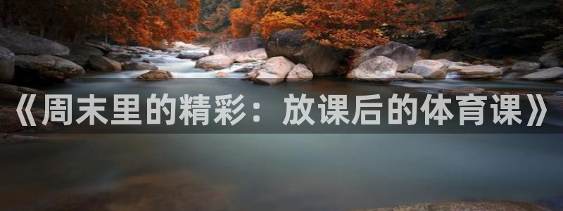 《周末里的精彩：放课后的体育课》