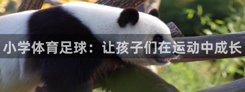小学体育足球：让孩子们在运动中成长