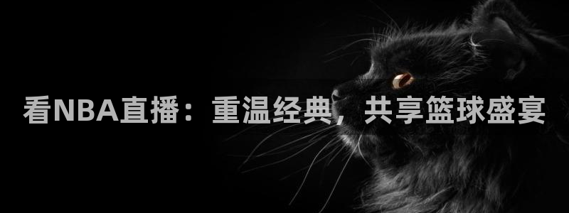看NBA直播：重温经典，共享篮球盛宴