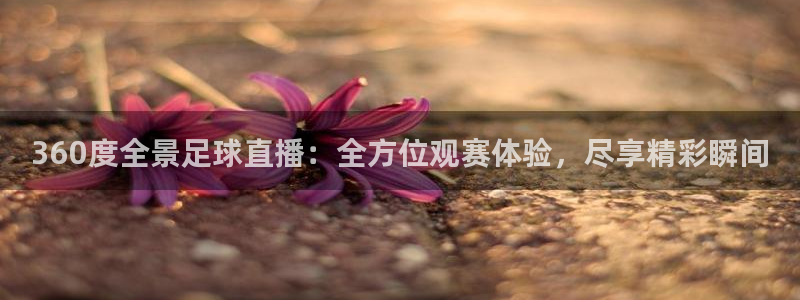 360度全景足球直播：全方位观赛体验，尽享精彩瞬间