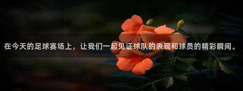 劲爆体育频道在线直播观看