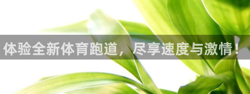劲爆体育nba今天直播